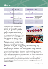 Load image into Gallery viewer, The Gem Cutters Handbook - PreSale! (Signed Edition)