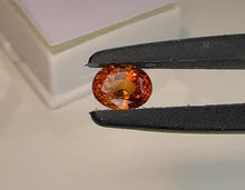 Load and play video in Gallery viewer, Hessonite Garnet 1.30 cts
