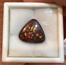Load image into Gallery viewer, Ammolite 6.95 cts
