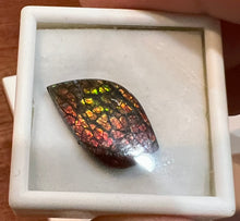 Load image into Gallery viewer, Ammolite 9.35 cts
