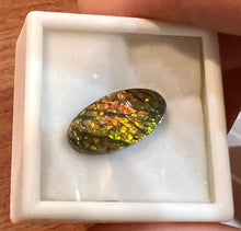 Load image into Gallery viewer, Ammolite 6.70 cts
