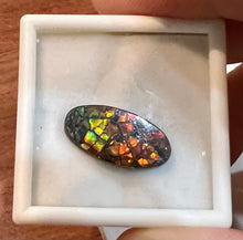 Load image into Gallery viewer, Ammolite 6.05 cts
